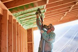 Best Crawl Space Insulation  in Chandler, IN